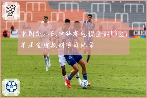 中国跳水队世锦赛包揽全部13金，单届金牌数创项目纪录
