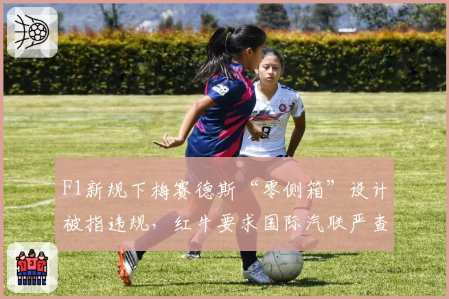 F1新规下梅赛德斯“零侧箱”设计被指违规，红牛要求国际汽联严查