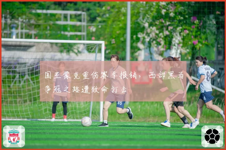 国王蒙克重伤赛季报销，西部黑马争冠之路遭致命打击