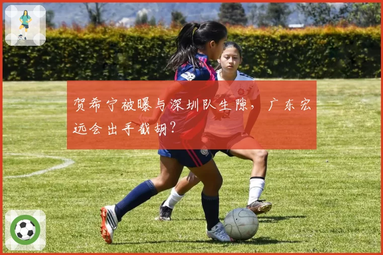 贺希宁被曝与深圳队生隙，广东宏远会出手截胡？