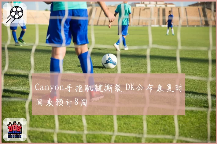 Canyon手指肌腱撕裂 DK公布康复时间表预计8周