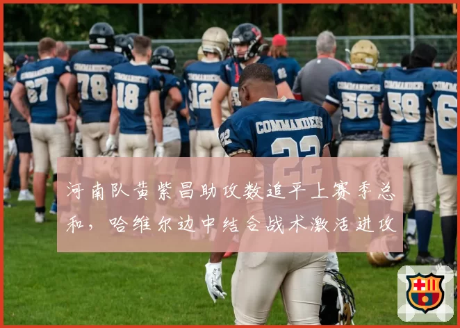 河南队黄紫昌助攻数追平上赛季总和，哈维尔边中结合战术激活进攻