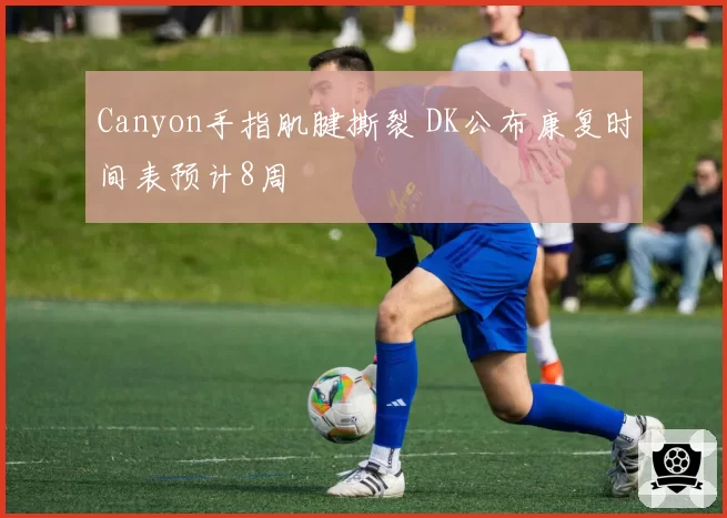 Canyon手指肌腱撕裂 DK公布康复时间表预计8周