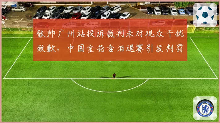 张帅广州站投诉裁判未对观众干扰致歉,中国金花含泪退赛引发判罚体系争论